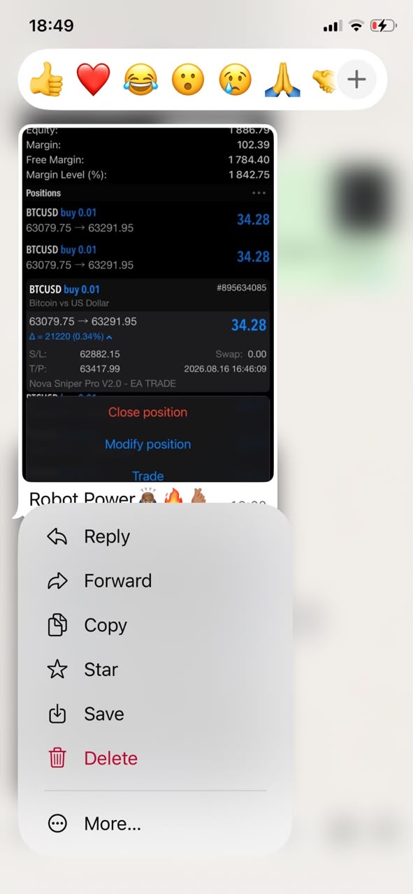 BTCUSD position detail with stop loss and take profit set by the robot